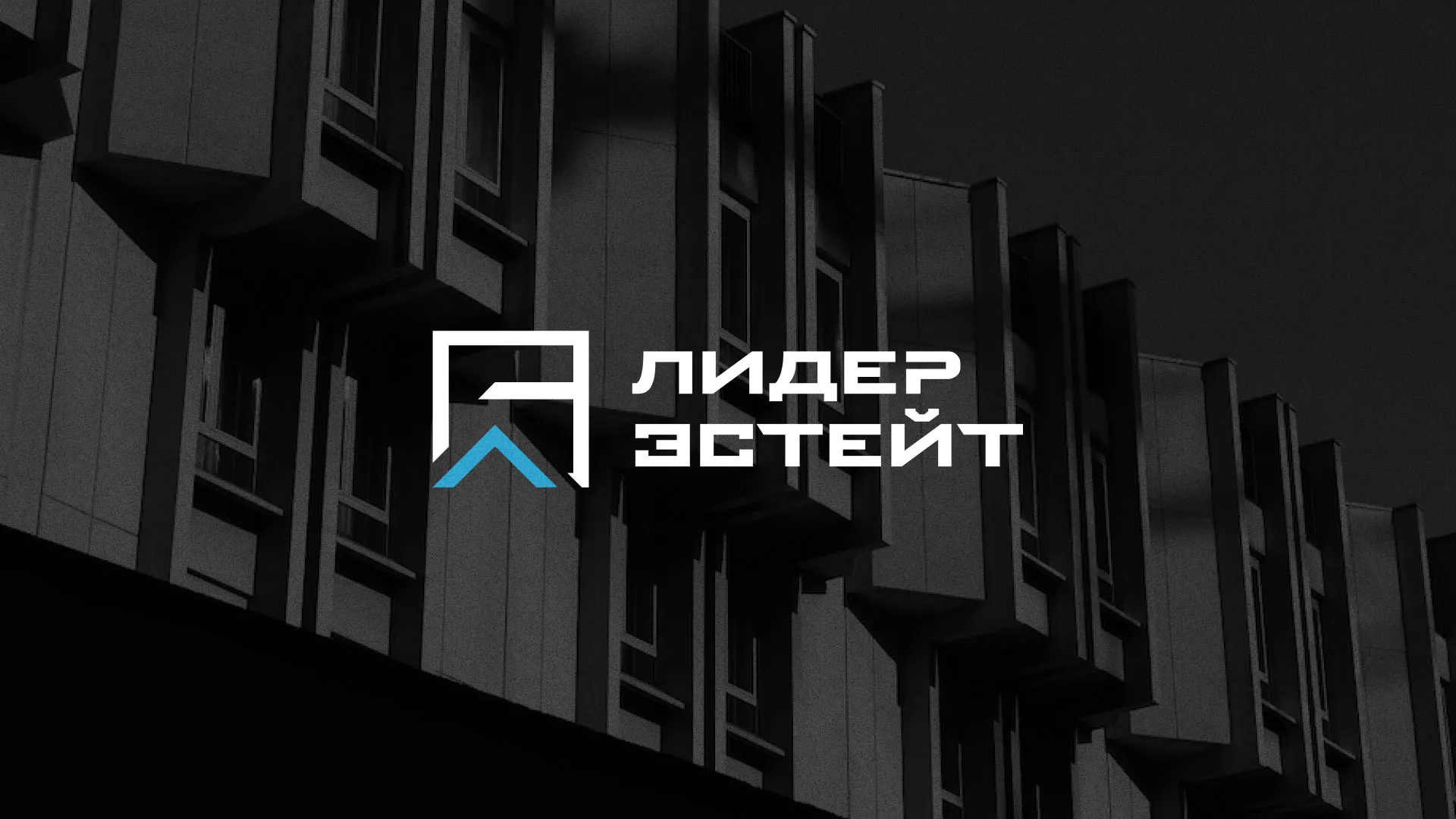 Разработка логотипа агентства недвижимости «Лидер Эстейт» в Нижнеудинске